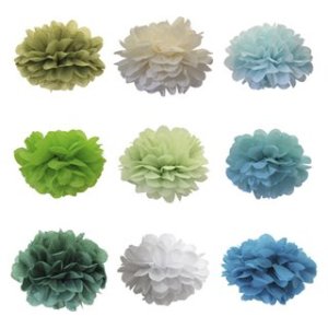 Picture of fluffy tissue pompoms
